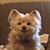Julie Ward McGowin's profile image