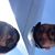 David Francesco Valls's profile image