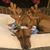 Melanie Knight Carnes's profile image