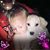 Pamela Gilpin's profile image