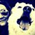Shandra Dianne's profile image