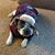 Diane Tucker Nedrow's profile image