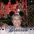 Carole Macleery Chase's profile image