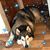 Linda Whalen's profile image