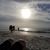 Shannon McCombs's profile image
