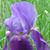 Liz Vanderwater's profile image