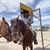 Raul Flores's profile image