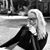 Hanna Marks's profile image