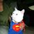 Cary Jeffers's profile image