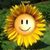 Lori Davenport's profile image
