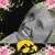 Kris Veneski's profile image