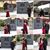 Glenise Rana-Macuto's profile image
