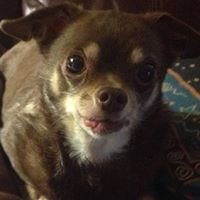 David J. Gillespie's profile image