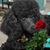 Mary Roberts's profile image