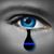 Wendy Trucks's profile image