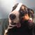 Jessica Lowther's profile image