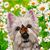 Katie McFarland's profile image