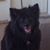 Tanya Missureli's profile image