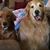 Lynda Kuehn Cook's profile image