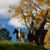 Monica Kessler's profile image