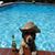 Randy Pelkey's profile image