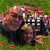 Matt Forster's profile image