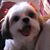 Steve B Saiz's profile image