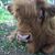 Dianne Moen's profile image