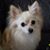 Kathy Short's profile image