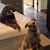Debby Weaver's profile image