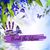 Carla Ray Johnson's profile image
