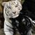 Cheryl Smith's profile image