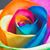 Xara Ershad's profile image