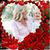 Barbara McMechan McKeehan's profile image