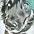 Matthew Warren's profile image