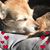 Rex Wiederhold's profile image