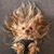 Cindy Burghardt Rockwell's profile image