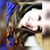 Daniela Silva's profile image