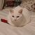 Doreen Jefferson's profile image