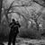 Jose Flores's profile image