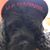 Troy Raney's profile image