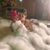 CeLine Lee Yuen Lee's profile image