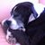 Laurie Nueske Weil's profile image