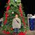 Holly Sweat Rawls's profile image