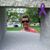 Lisa Curran's profile image