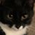 Judy Huston - Wieging's profile image
