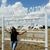 ChecKa Aceneth Aleman's profile image