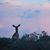 Chelsey Urrutia Knight's profile image