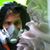 Brian P. McShane's profile image