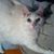 Sonya Waligora's profile image